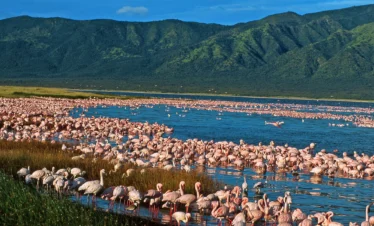 lake-nakuru