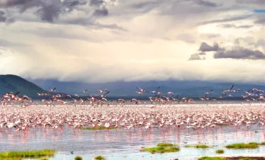 lake-nakuru